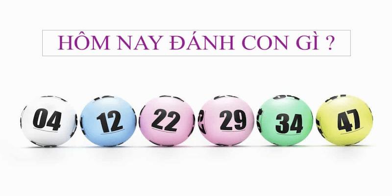Đề về 46 hôm sau đánh con gì để tăng khả năng trúng