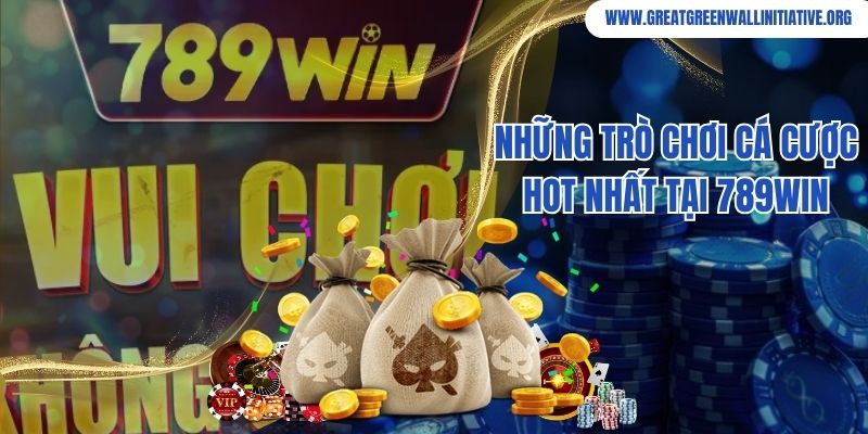 Những trò chơi cá cược hot hit do nhà cái cung cấp
