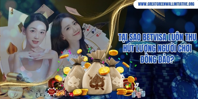 Betvisa - Thiên Đường Casino, Giải Trí Đẳng Cấp Bậc Nhất 2024 3 Ưu điểm giúp Betvisa chinh phục thành viên tham gia giải trí online
