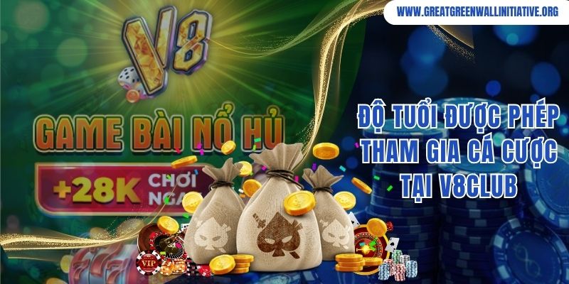 Độ tuổi được phép tham gia cá cược, chơi game tại V8Club
