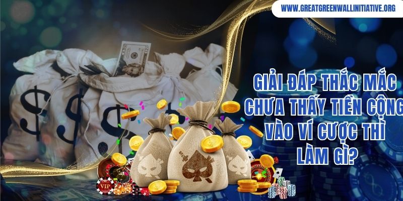 Giải đáp thắc mắc chưa thấy tiền cộng vào ví cược thì làm gì