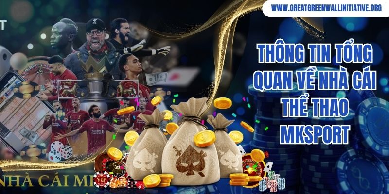 Mksport - Nhà Cái Cá Độ Thể Thao Số 1 Trên Thị Trường 2026 2 Thông tin tổng quan về nhà cái thể thao Mksport