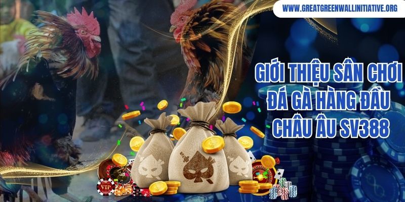 Giới thiệu sân chơi đá gà hàng đầu châu Âu SV388