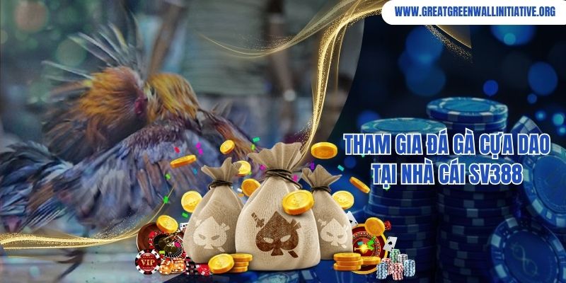 Tham gia đá gà cựa dao tại nhà cái SV388