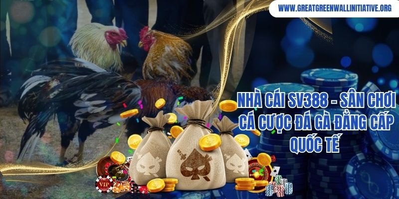 Nhà Cái SV388 - Sân Chơi Cá Cược Đá Gà Đẳng Cấp Quốc Tế