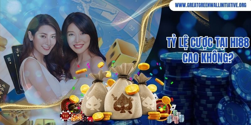 Tỷ lệ cược tại Hi88 cao không?
