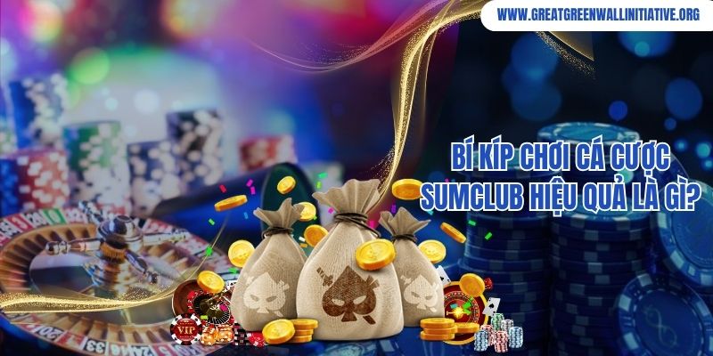Sumclub - Cổng Game Đại Gia Chơi Là Thắng 2026 4 Bí kíp chơi cá cược Sumclub hiệu quả là gì?