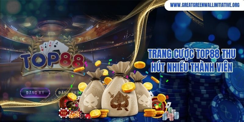Trang cược Top88 thu hút nhiều thành viên